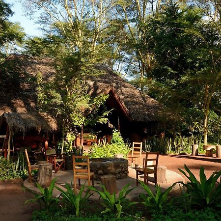 Migunga Tented Camp Mto wa Mbu Dış mekan fotoğraf
