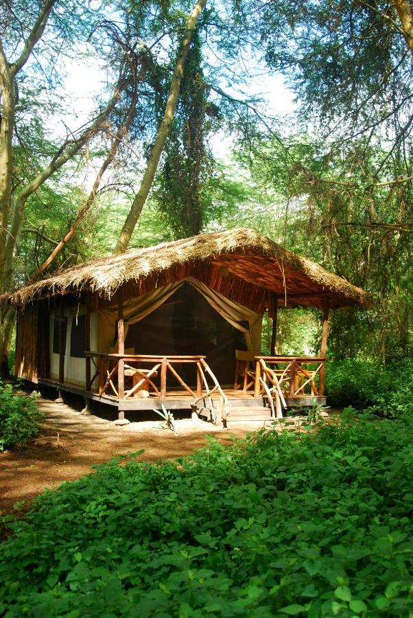 Migunga Tented Camp Mto wa Mbu Dış mekan fotoğraf
