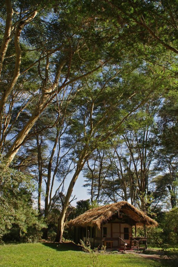 Migunga Tented Camp Mto wa Mbu Dış mekan fotoğraf